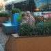 Andersonville Parklet, Moss Design, parklet, chicago, studio murmur, eco-andersonville, anderson development corporation, people space