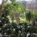 green design, eco design, sustainable design, botanical garden, turtle sanctuary, indoor garden, Atocha Train Station, Madrid