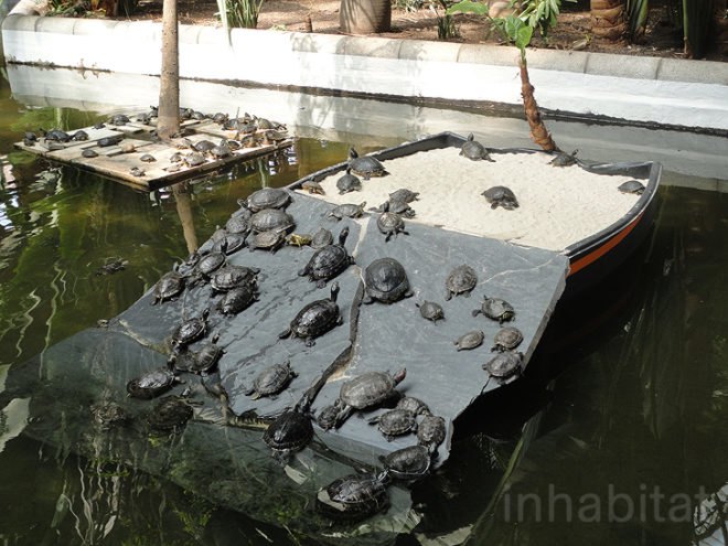 green design, eco design, sustainable design, botanical garden, turtle sanctuary, indoor garden, Atocha Train Station, Madrid