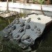 green design, eco design, sustainable design, botanical garden, turtle sanctuary, indoor garden, Atocha Train Station, Madrid