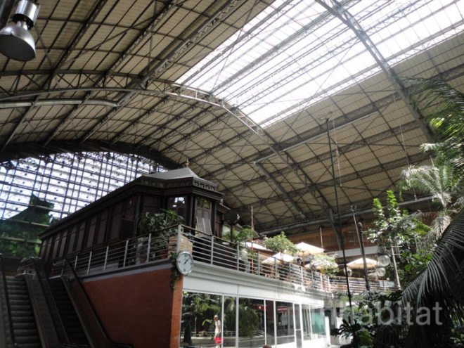green design, eco design, sustainable design, botanical garden, turtle sanctuary, indoor garden, Atocha Train Station, Madrid