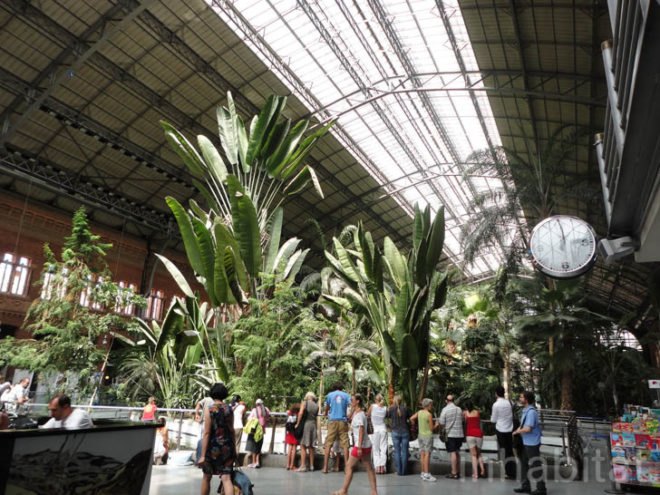 green design, eco design, sustainable design, botanical garden, turtle sanctuary, indoor garden, Atocha Train Station, Madrid