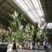 green design, eco design, sustainable design, botanical garden, turtle sanctuary, indoor garden, Atocha Train Station, Madrid
