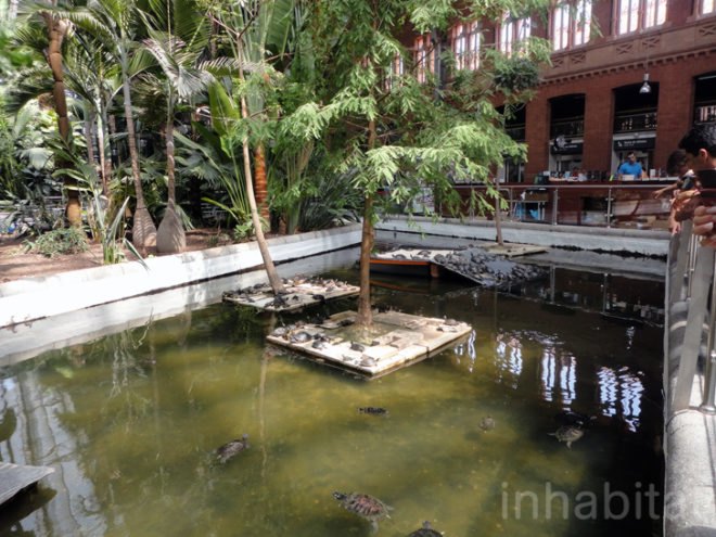 green design, eco design, sustainable design, botanical garden, turtle sanctuary, indoor garden, Atocha Train Station, Madrid