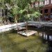 green design, eco design, sustainable design, botanical garden, turtle sanctuary, indoor garden, Atocha Train Station, Madrid