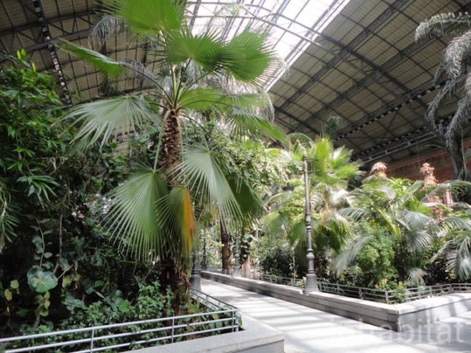 green design, eco design, sustainable design, botanical garden, turtle sanctuary, indoor garden, Atocha Train Station, Madrid