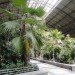 green design, eco design, sustainable design, botanical garden, turtle sanctuary, indoor garden, Atocha Train Station, Madrid