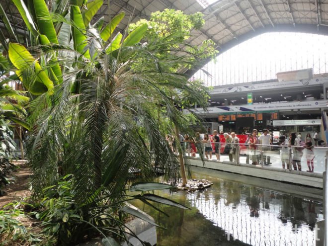 green design, eco design, sustainable design, botanical garden, turtle sanctuary, indoor garden, Atocha Train Station, Madrid