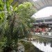 green design, eco design, sustainable design, botanical garden, turtle sanctuary, indoor garden, Atocha Train Station, Madrid