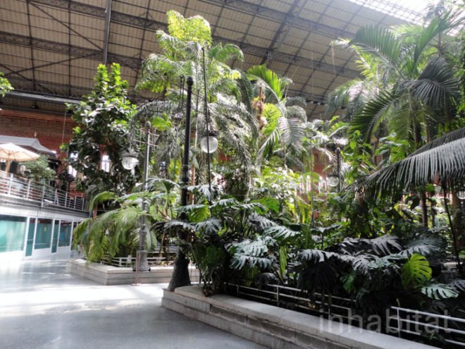 green design, eco design, sustainable design, botanical garden, turtle sanctuary, indoor garden, Atocha Train Station, Madrid