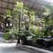 green design, eco design, sustainable design, botanical garden, turtle sanctuary, indoor garden, Atocha Train Station, Madrid
