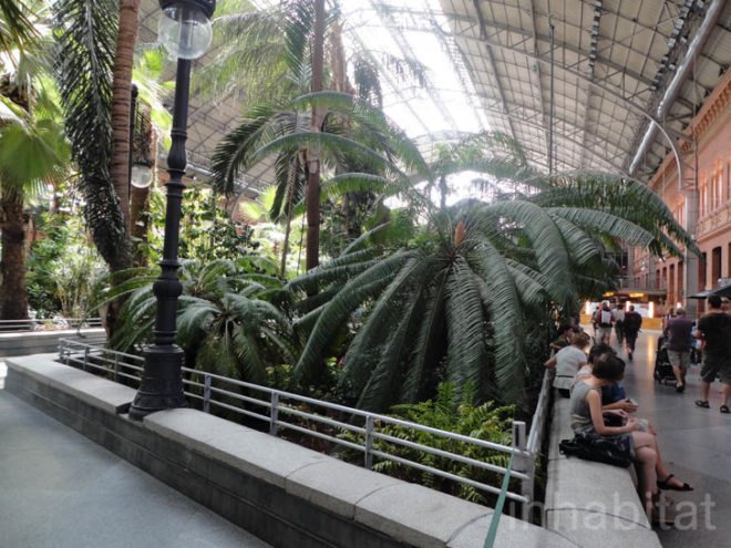 green design, eco design, sustainable design, botanical garden, turtle sanctuary, indoor garden, Atocha Train Station, Madrid