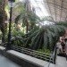 green design, eco design, sustainable design, botanical garden, turtle sanctuary, indoor garden, Atocha Train Station, Madrid
