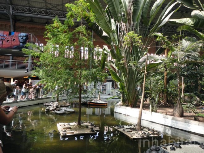 green design, eco design, sustainable design, botanical garden, turtle sanctuary, indoor garden, Atocha Train Station, Madrid