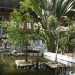 green design, eco design, sustainable design, botanical garden, turtle sanctuary, indoor garden, Atocha Train Station, Madrid