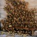 beekeeping, 3 million bees, NYC bees, beehives, Corona, Yi Gin Chen, NYPD beekeeper Detective, Tony Planakis, Urban beekeeping, Urban Animal life, ,