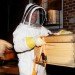 beekeeping, 3 million bees, NYC bees, beehives, Corona, Yi Gin Chen, NYPD beekeeper Detective, Tony Planakis, Urban beekeeping, Urban Animal life, ,
