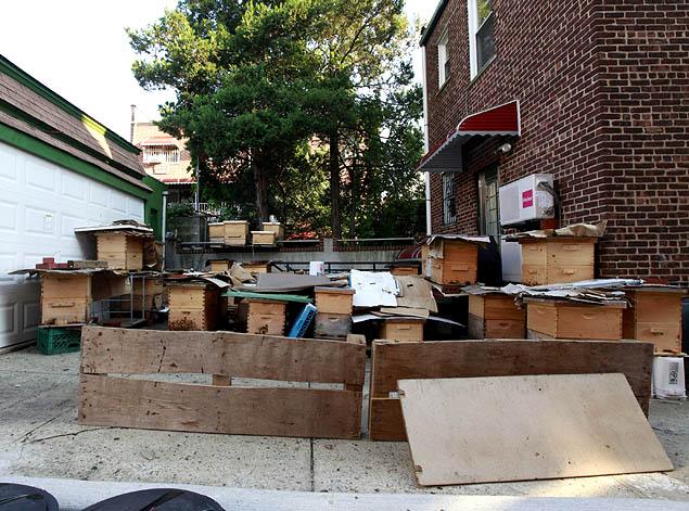 beekeeping, 3 million bees, NYC bees, beehives, Corona, Yi Gin Chen, NYPD beekeeper Detective, Tony Planakis, Urban beekeeping, Urban Animal life, ,