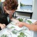 Boston Architectural College, Sustainable Design program, sustainable design degree, Master’s degree, Bachelor’s degree, Boston, Massachusetts, certificate program, online courses
