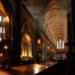 Bruce Munro, Light Installation, Artistic Lighting, light as art, Salisbury Cathedral, Help for Heroes Headquarters, Mark Pickthall, Fiber Optic lighting, fiber optic art