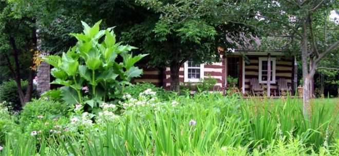 Magee design, John Magee, landscape, landscape design, wildlife habitat, landscaping