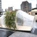 Woods Bagot, Cocoon, natural disasters, disaster relief, timber, flatpacked construction, design, green design, sustainable design, eco-design, temporary design,
