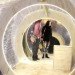 Woods Bagot, Cocoon, natural disasters, disaster relief, timber, flatpacked construction, design, green design, sustainable design, eco-design, temporary design,