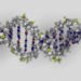 Harvard University's Wyss Institute for Biologically Inspired Engineering , George Church, Regenesis, DNA storage, storage medium, DNA, genetics, bio-library, storage space