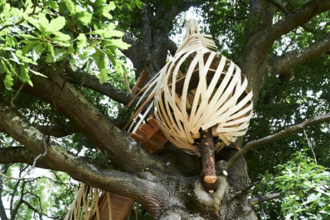 Dartmoor Treehouse, Jerry Tate Architects, dartmoor arts, treehouse, woven treehouse, student project