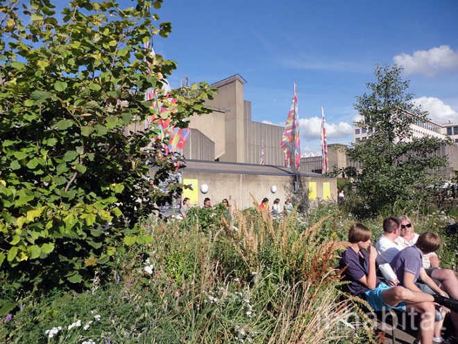 green design, eco design, sustainable design, Southbank London, River Thames, Queen Elizabeth Hall Roof Garden, Eden project, Jane Knight, roof garden, public park, edible roof, Southbank Centre, public park