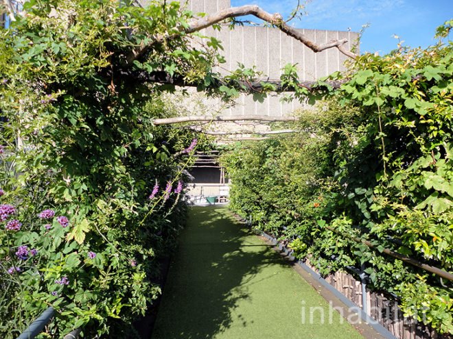green design, eco design, sustainable design, Southbank London, River Thames, Queen Elizabeth Hall Roof Garden, Eden project, Jane Knight, roof garden, public park, edible roof, Southbank Centre, public park