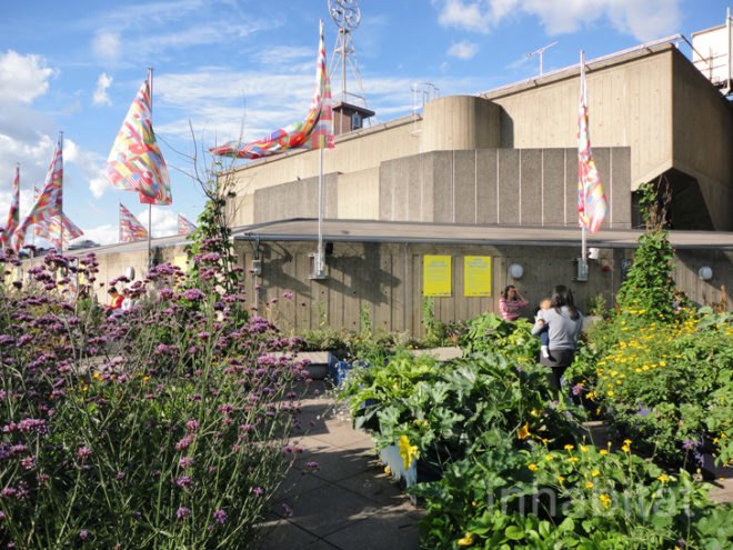 green design, eco design, sustainable design, Southbank London, River Thames, Queen Elizabeth Hall Roof Garden, Eden project, Jane Knight, roof garden, public park, edible roof, Southbank Centre, public park