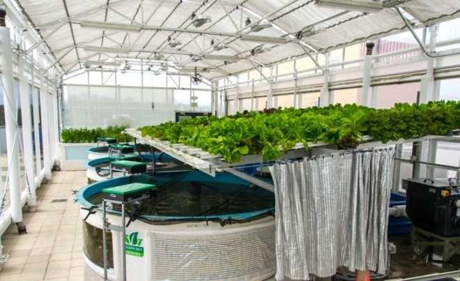Green Sky Growers, Florida, Aquaponics, rooftop farming, urban farming, urban design, hydroponics, aquaculture, NASA, USDA, Epcot, green design, sustainable design, eco-design