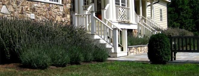 Magee design, John Magee, landscape, landscape design, wildlife habitat, landscaping