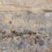 Harvard GSD, Graduate School of Design, MudWorks, Mud Hall, Anna Heringer , 2012 Loeb Fellow, Martin Rauch,socially responsible architecture,