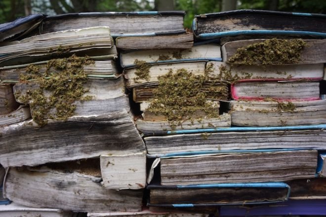 Thilo Folkerts, 100 Landschaftsarchitektur, Rodney LaTourelle, Quebec, Canada, Jardin de la Connaissance, mushrooms, decaying books, art, design, green design, sustainable design, experimental art