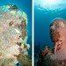 Jason de Claires Taylor, underwater sculptures, underwater art, coral reef, Jason de Claires Taylor sculpture