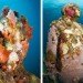 Jason de Claires Taylor, underwater sculptures, underwater art, coral reef, Jason de Claires Taylor sculpture