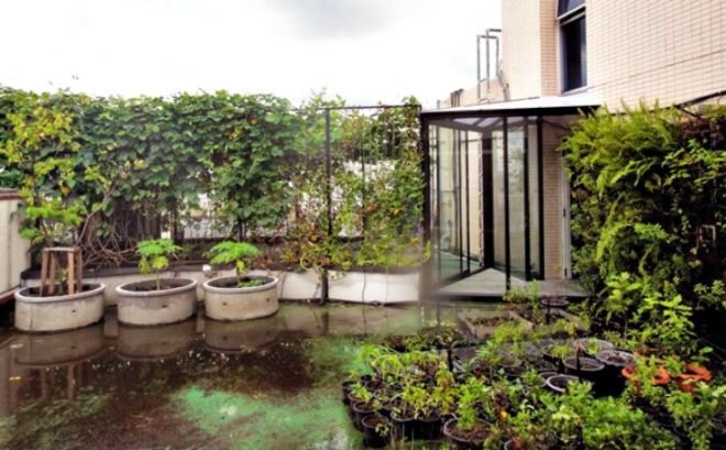 Kasetsart University Urban Farm, rooftop garden, green roof, Thailand, Bangkok Thailand, Faculty of Architecture, vegetable garden, outdoor gardening, urban garden, green space, biofacade, green vertical block, green mat