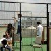 Kasetsart University Urban Farm, rooftop garden, green roof, Thailand, Bangkok Thailand, Faculty of Architecture, vegetable garden, outdoor gardening, urban garden, green space, biofacade, green vertical block, green mat