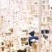 green design, eco design, sustainable design, LEGO, LEGO map, 1.8 million LEGOs, Build up Japan, GIant Japan Map, 50th Anniversary LEGO