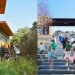 Marin Country Day School, California, Zero Energy, LEED Platinum, Classroom Building, Merit Award, AIA California Council , sustainable, stack ventilation, radiant cooling, solar power, photovoltaic