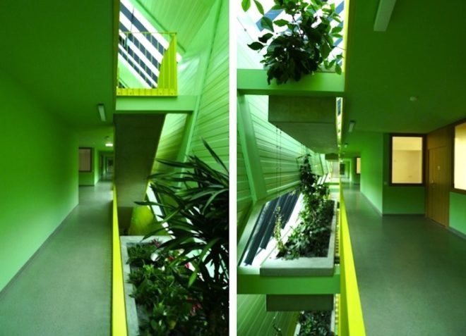 Mühlgrund, passive house, ARTEC Architekten, vertical garden, green design, sustainable design, solar shades, Austria, Vienna, daylighting, energy efficiency