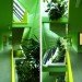 Mühlgrund, passive house, ARTEC Architekten, vertical garden, green design, sustainable design, solar shades, Austria, Vienna, daylighting, energy efficiency