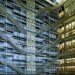 Bobst library, NYU Library, screen design, suicide screen, atrium, Joel Sanders, Joel Sanders screen, Joel Sanders NYU