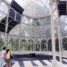 green design, eco design, sustainable design, Industrial Revolution, Palacio de Cristal, Adaptive Reuse, Museo Reina Sofia, Madrid, Nacho Criado, botanical garden, Retiro park, avant garde art exhibition, Surrealism, Crystal palace