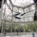 green design, eco design, sustainable design, Industrial Revolution, Palacio de Cristal, Adaptive Reuse, Museo Reina Sofia, Madrid, Nacho Criado, botanical garden, Retiro park, avant garde art exhibition, Surrealism, Crystal palace