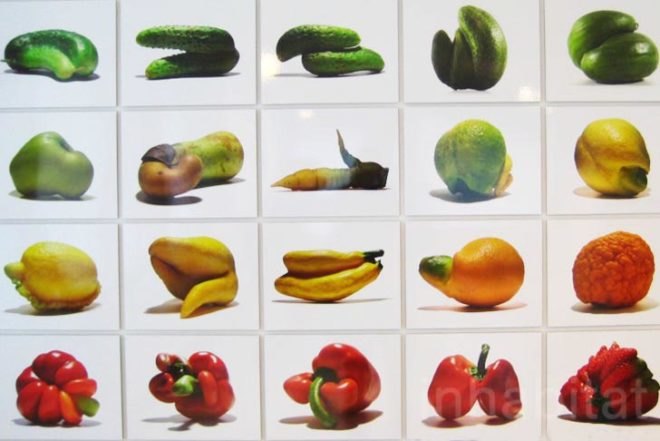 Food Culture: Eating by Design, Premsela, Marije Vogelzang, Eindhoven, The Netherlands, Food Design, Marti Guixe, Designhuis, Sustainable Food, Animals, Urban farming, Art, Botanical, social design, Green Products, Green Events, design academy of eindhoven,