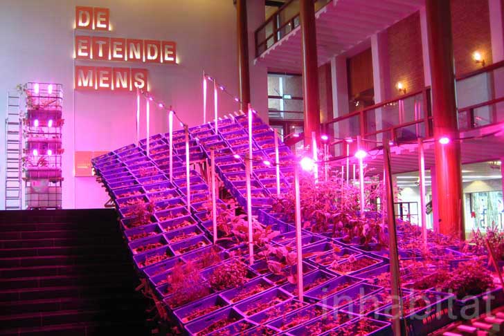 Food Culture: Eating by Design, Premsela, Marije Vogelzang, Eindhoven, The Netherlands, Food Design, Marti Guixe, Designhuis, Sustainable Food, Animals, Urban farming, Art, Botanical, social design, Green Products, Green Events, design academy of eindhoven,