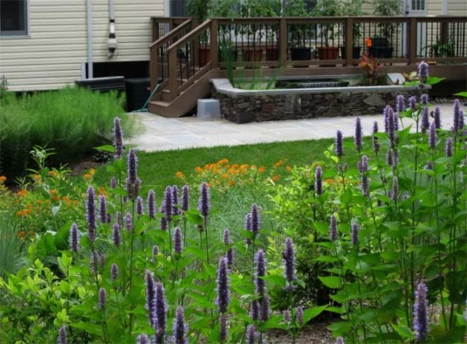 Magee design, John Magee, landscape, landscape design, wildlife habitat, landscaping
